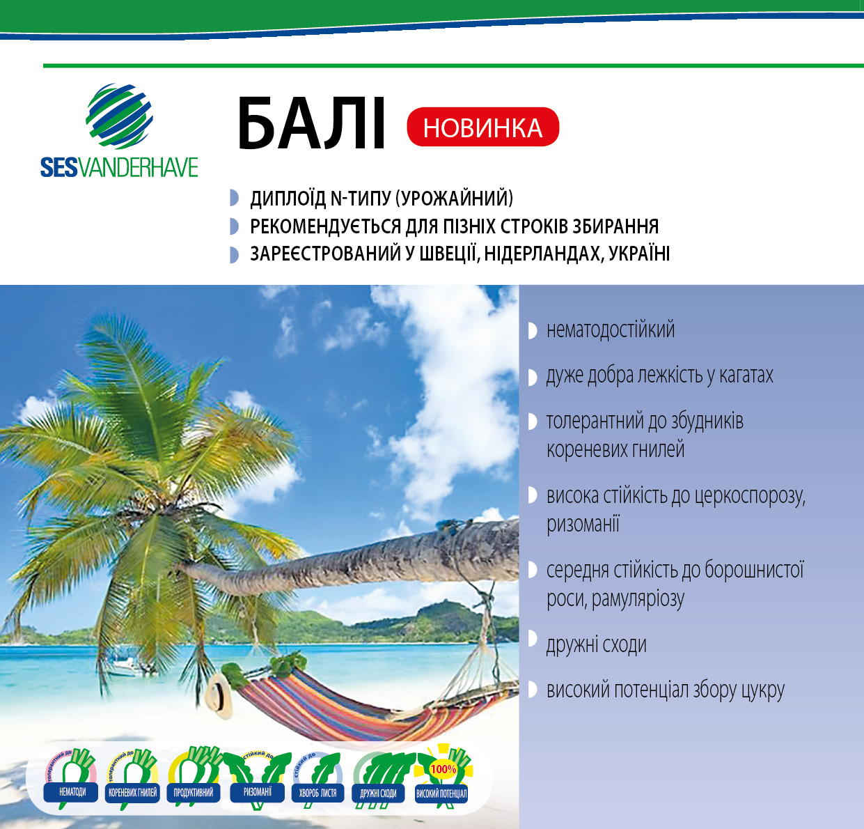 БАЛИ