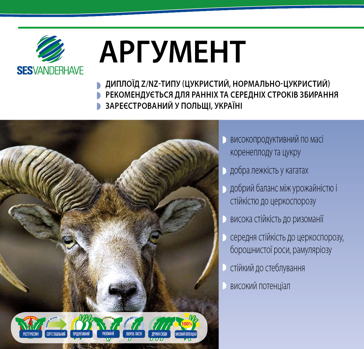 АРГУМЕНТ