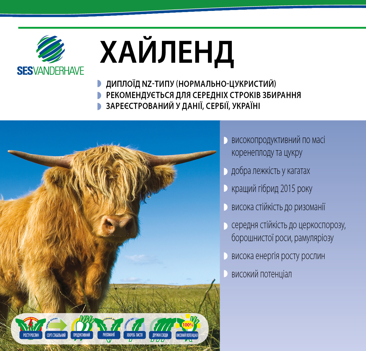 ХАЙЛЕНД