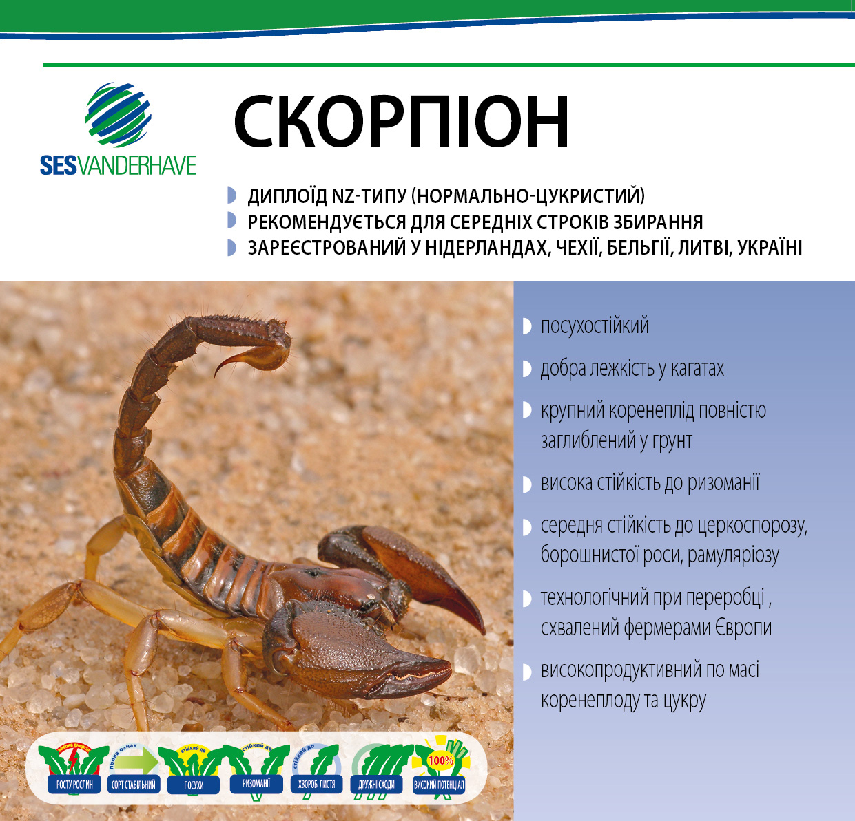 СКОРПИОН