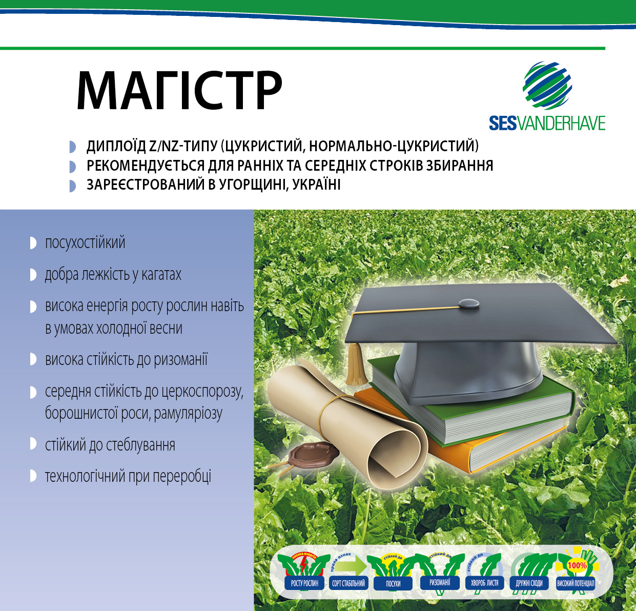МАГИСТР
