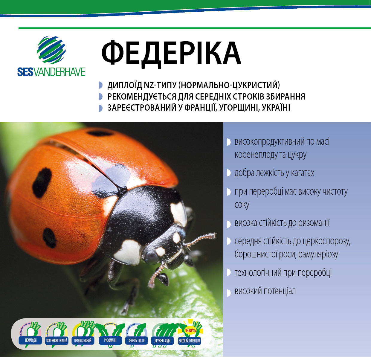 ФЕДЕРИКА