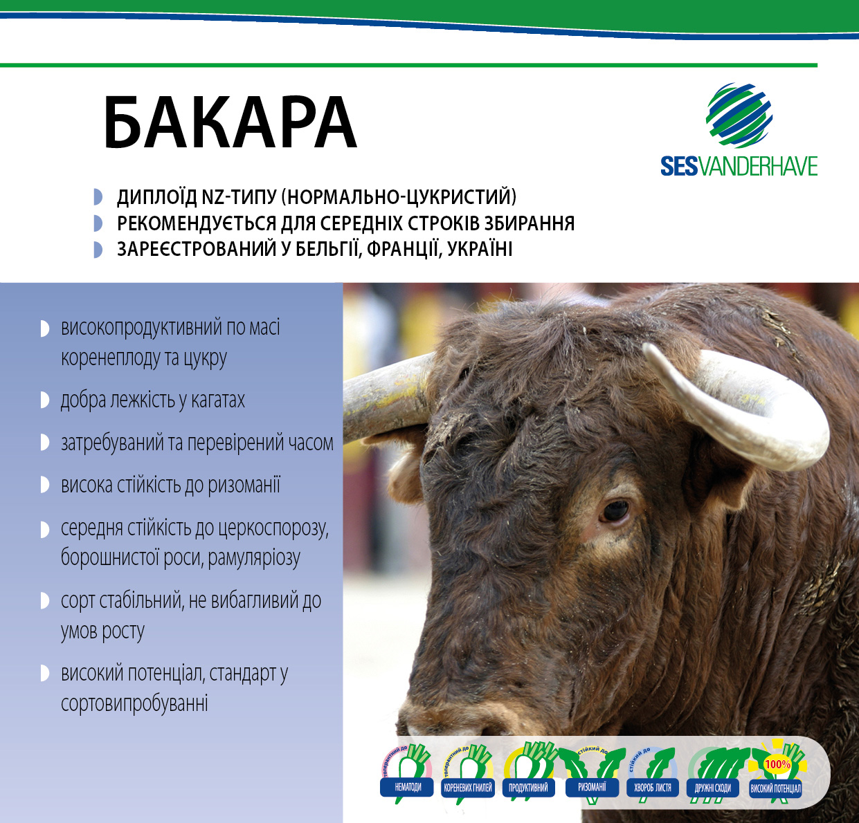 БАКАРА