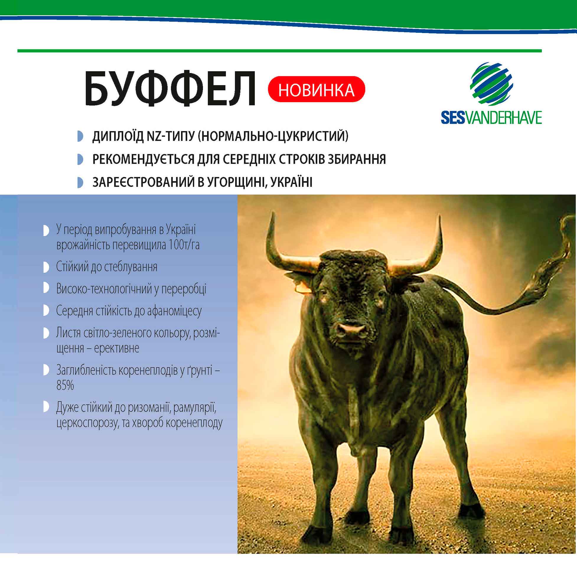 БУФФЕЛ