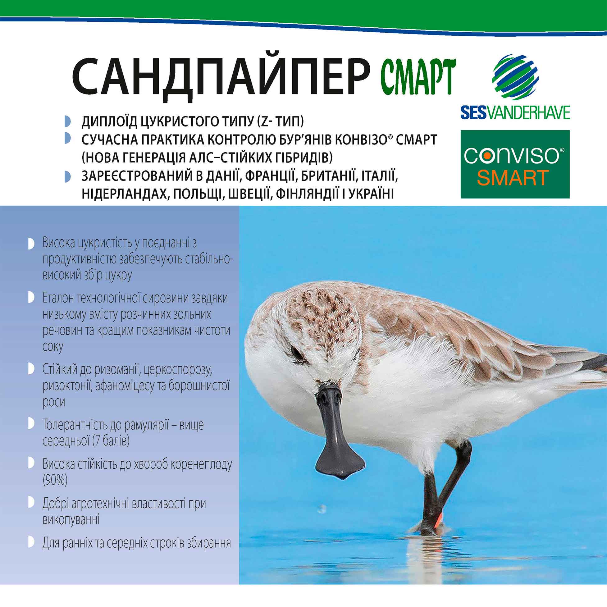 САНДПАЙПЕР