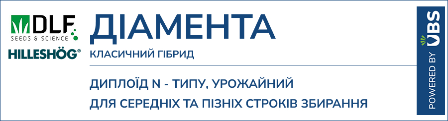 ДІАМЕНТА