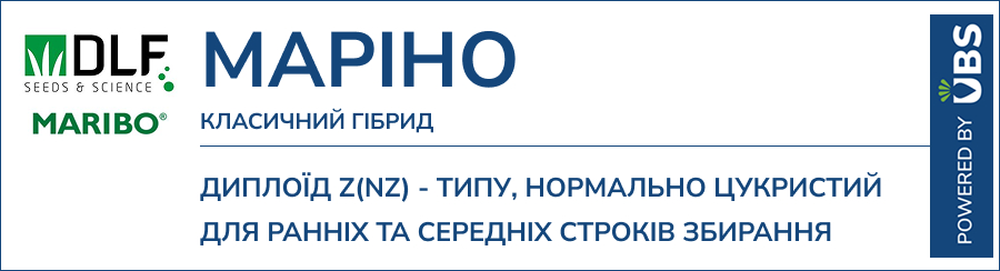 МАРІНО