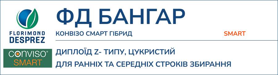 ФД БАНГАР Смарт