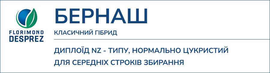 БЕРНАШ