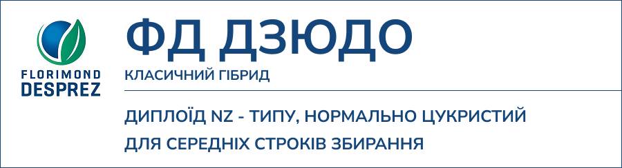 ФД ДЗЮДО
