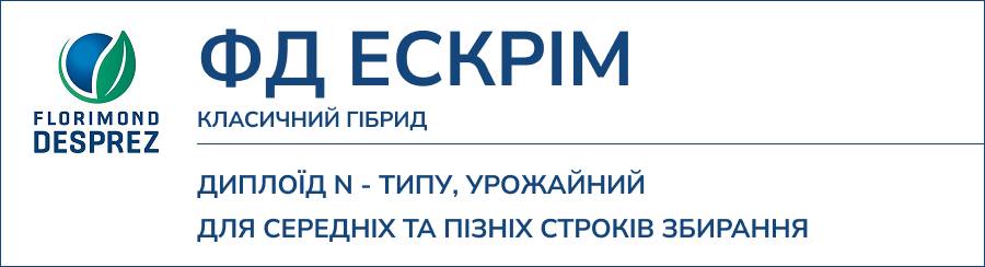 ФД ЕСКРІМ
