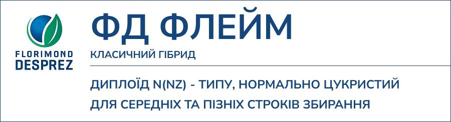 ФД ФЛЕЙМ