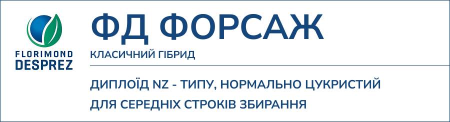 ФД ФОРСАЖ