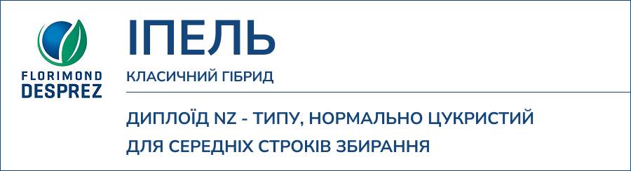 ІПЕЛЬ