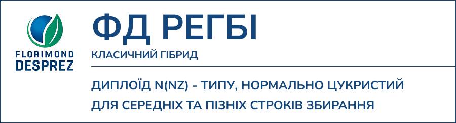 ФД РЕГБІ