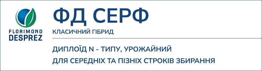 ФД СЕРФ