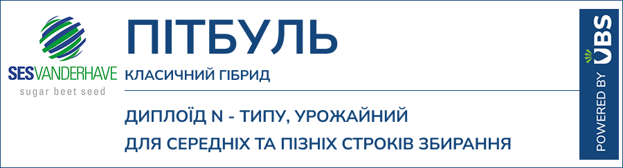 ПІТБУЛЬ
