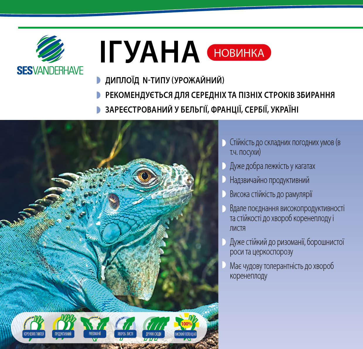ИГУАНА