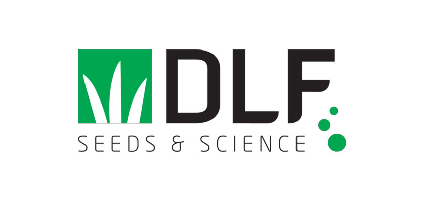 DLF SEEDS