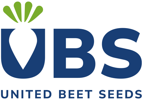 logo ubs footer1
