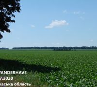 099-2020