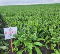 20240726 094626