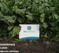 277-2020